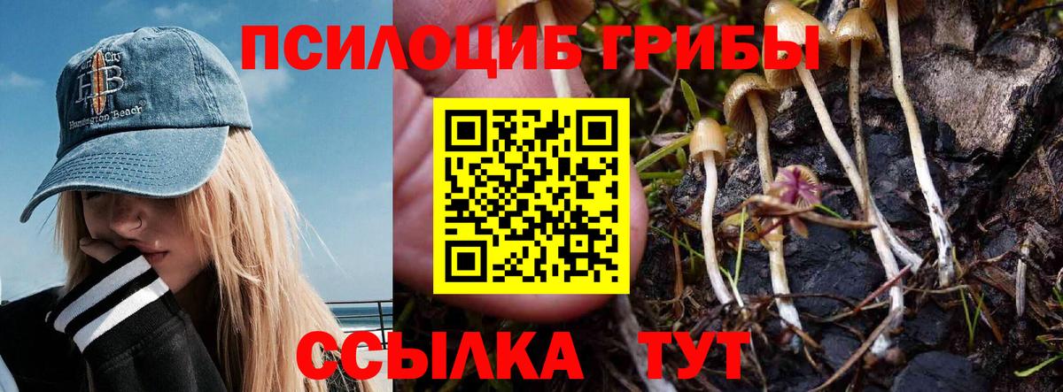 Омск  Псилоцибиновые грибы MAGIC MUSHROOMS  Галлюциногенные грибы ЛСД  Вход с VPN 